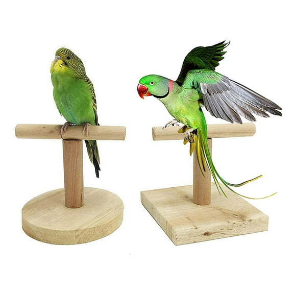 SPRING PARK Bird Table Perch Stand Wooden, Wood Small Birds Tabletop T Stand Perch, Small Size, Parrot Perch Bird Stand T Perch for Small Birds Parrot Conure Parakeet