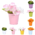 thumbnail image 1 of SPRING PARK Bright Solid Colour Metal Bucket with Handle Home Decor Plants Party Favours, 1 of 7