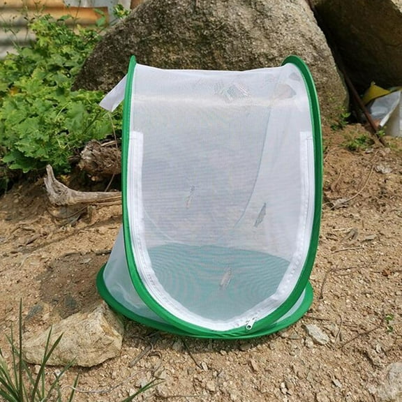 SPRING PARK Butterfly Cage Insect Net Terrarium Kids Science Kit Gift Toy For Kids