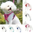 thumbnail image 1 of SPRING PARK Dog Harness and Traction Rope Set, Breathable Soft Mesh Puppy Vest Harness Reflective Adjustable Pet Harnesses for Small Medium Dogs, 1 of 7