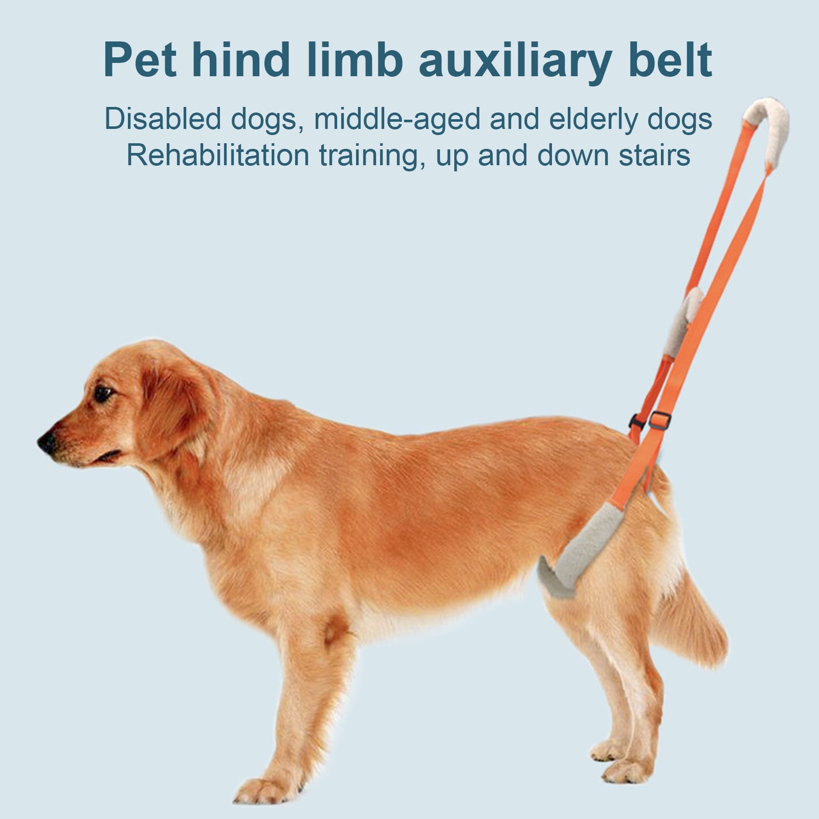 Harness to help sales dog down stairs