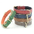 thumbnail image 1 of SPRING PARK Faux Leather Dog Adjustable Collar Buckle Collar Soft Neck Strap Cat Puppy Small Pet, 1 of 7