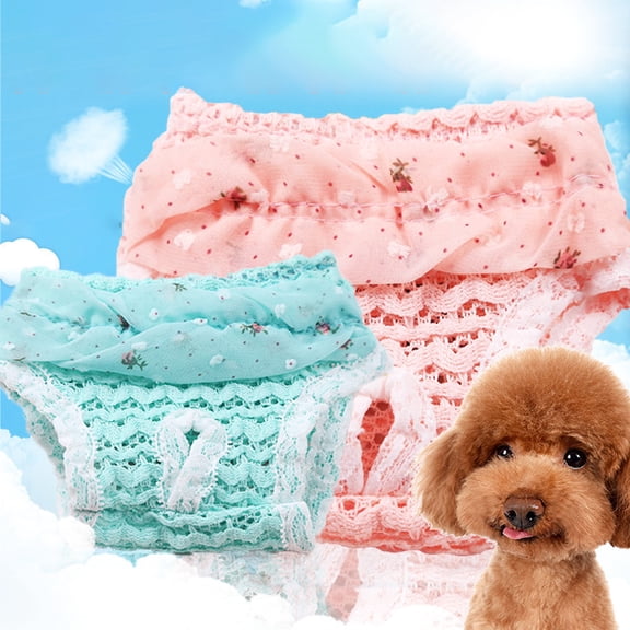 SPRING PARK Female Lace Dog Physiological Sanitary Pants, Washable Reusable Menstrual Care Pet Pants, Anti-Harassment Pants for Small, Medium and Large Dogs