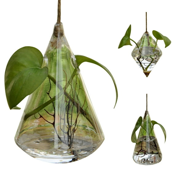 SPRING PARK Glass Hanging Planters Succulent Terrarium Pots Containers Air Plant Flower Vase Indoor Outdoor for Home, Garden, Weddding, Party, Anniversary