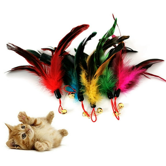 SPRING PARK Interactive Feather Head for Cat Wand Toy Kitten Toys Easy to Install Feather Head for Cat Teaser Stick Toys
