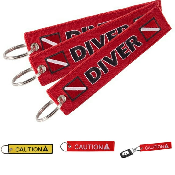 SPRING PARK Keychain Print Embroidery Key Ring Chain Pendant Gift Keyring Accessories Fashion