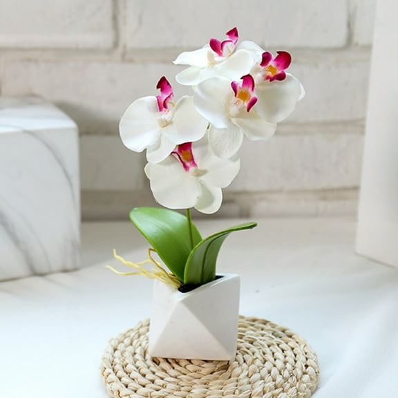 SPRING PARK Mini Phalaenopsis Orchid in Pot Artificial Home Office Desk and Garden Decor