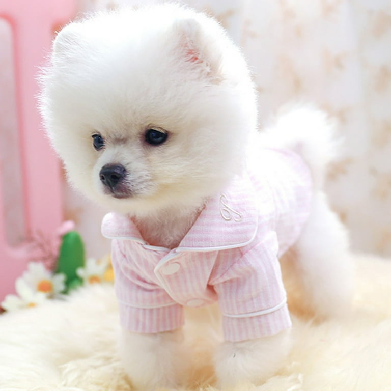 Pomeranian clothes cheap
