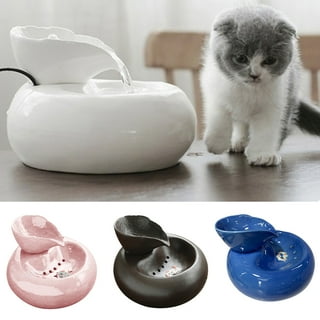 Cat water bowl clearance walmart