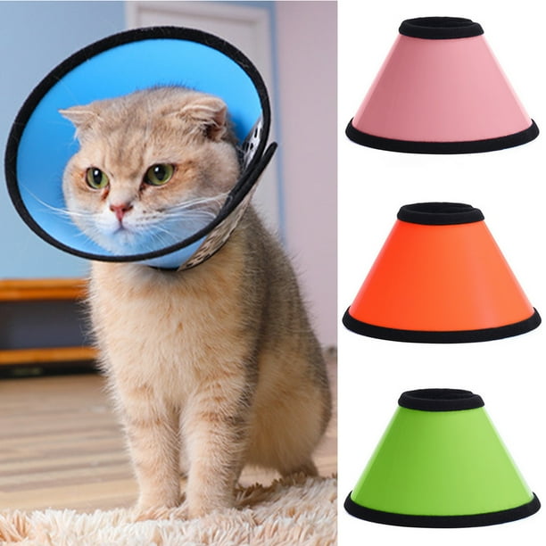 Cat plastic collar 2025