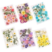 SPRING PARK Pressed Mixed Organic Natural Dried Flowers DIY Art Handicraft Gift Decoration