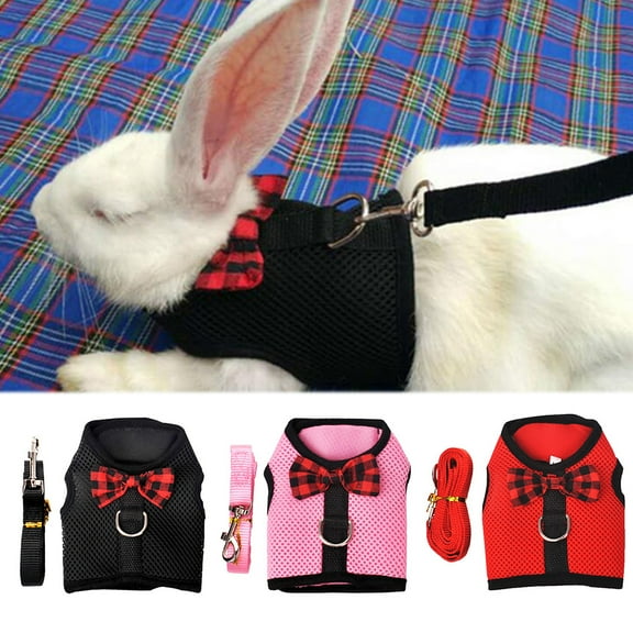 SPRING PARK Rabbit Harness Leash, No Pull Cat Leash Stylish Vest Harness, Adjustable Soft Breathable Mesh Small Pet Harness for Cats, Hamster, Rats and Similar Small Animals