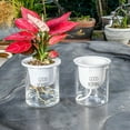 thumbnail image 1 of SPRING PARK Round Flat Bottom Polyethylene Terephthalate with Self-Watering (2 Count), 1 of 7