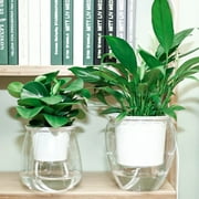 SPRING PARK Self Watering Planter, Violet Pots, Clear Plastic Automatic-Watering Planter Flower Pot Plant Pot for All House Plants, Succulents, Herb, African Violets