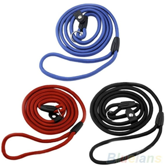 SPRING PARK Strong Nylon Slip On Rope Dog Puppy Pet Training Lead Leash Adjustable Traction Collar