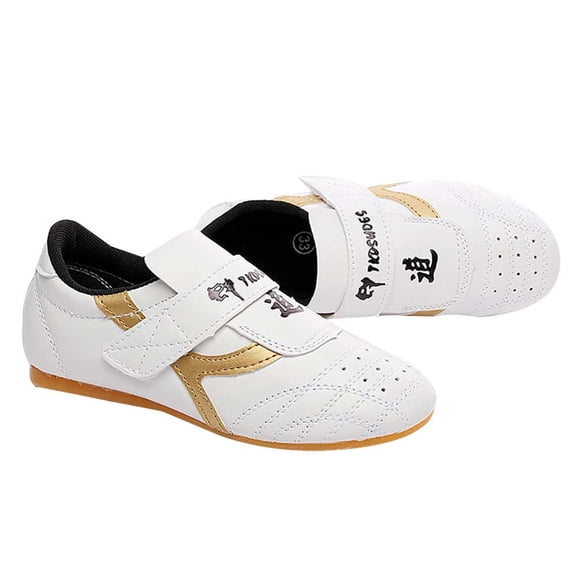 SPRING PARK Unisex Faux Leather Breathable Kick Martial Arts Shoes Adult Indoor Training Pumps Karate Taekwondo