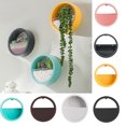thumbnail image 1 of SPRING PARK Wall Hanging Flower Plant Pot Planter Hydroponic Styles Indoor Gardening Art Decor, 1 of 7