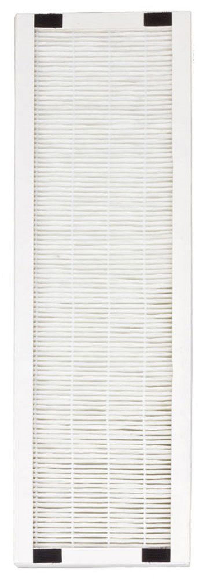 Replacement HEPA Filter for AC-2062G (pack of 2)