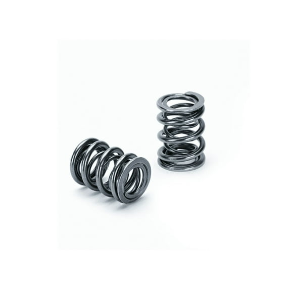 SPT Dual Valve Springs