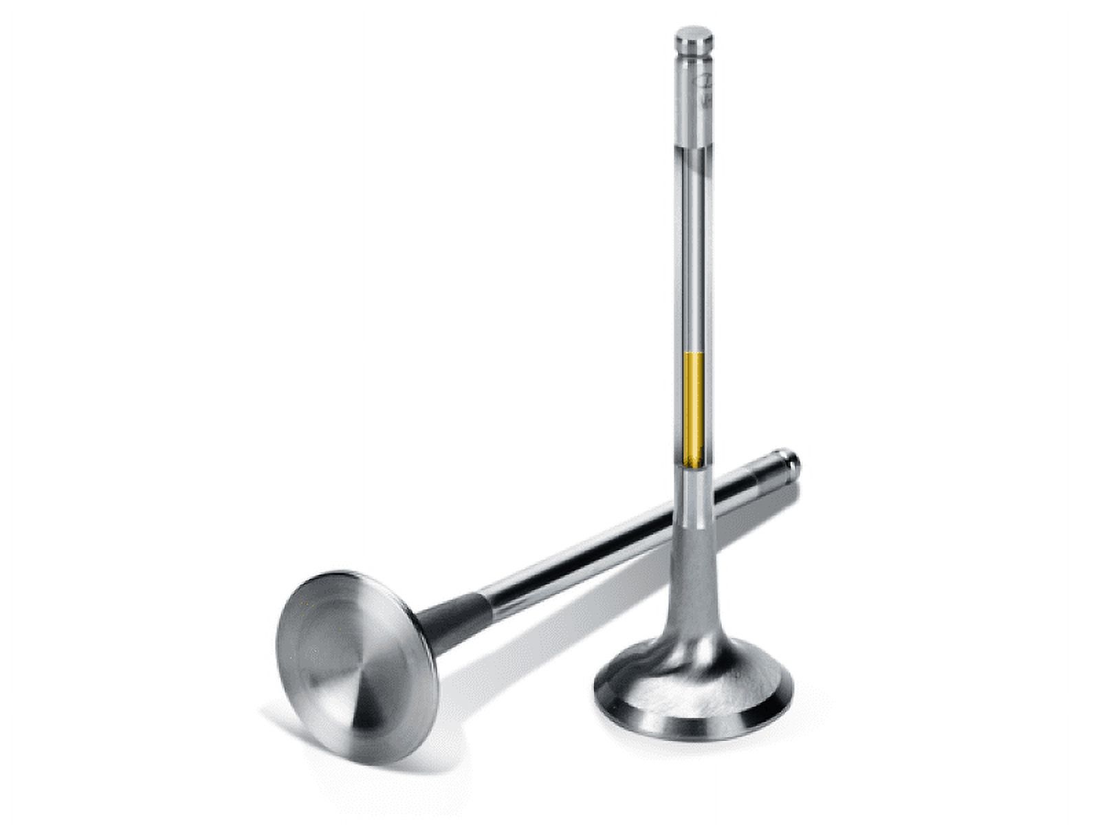 SPT Exhaust Valves