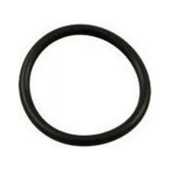 SPX0728H Hayward O-Ring, End Connector
