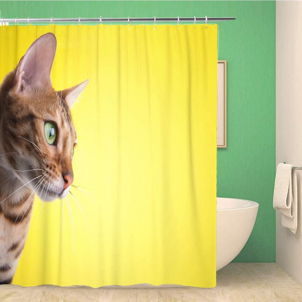 SPXUBZ Beautiful Bengal Cat Animal Portrait is Lying Yellow Collection