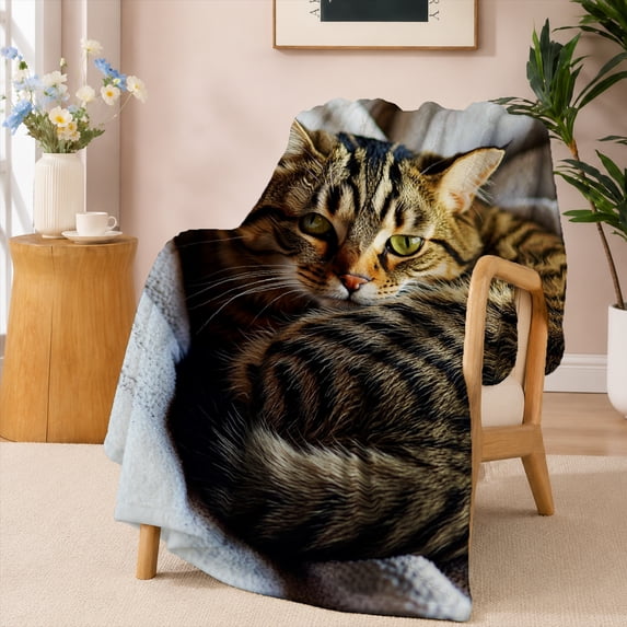 SPXUBZ Real Cute Tabby Cat Sleeping Cozy Photo Flannel Throw Blanket Soft Warm Fleece Blanket for Cat Lovers Sofa Couch Bed Decor