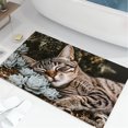 thumbnail image 1 of SPXUBZ Sleeping Cat With Succulents Non Slip Kitchen Mats Bathroom Rugs Floor Mats for Floor 28.4W x 20.5H inch, 1 of 5