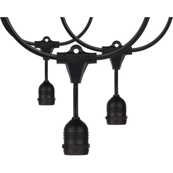 SQHQ S8039 Incandescent Indoor/Outdoor String Lights, Black, Bulbs Not Included, 24 Feet (Pack of 1)