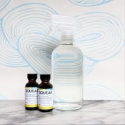 SQUEAK Mint Tea Blend All Purpose Cleaner, 2-Pack Refill & Glass Spray Bottle, Organic