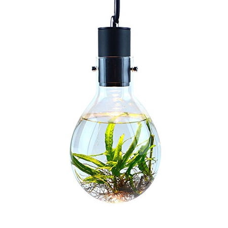 SR Aquaristik Hanging Luminarium Aquarium