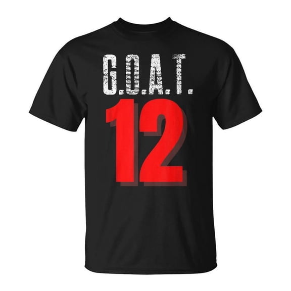 SR Vintage Distressed Goat 12 T-shirt