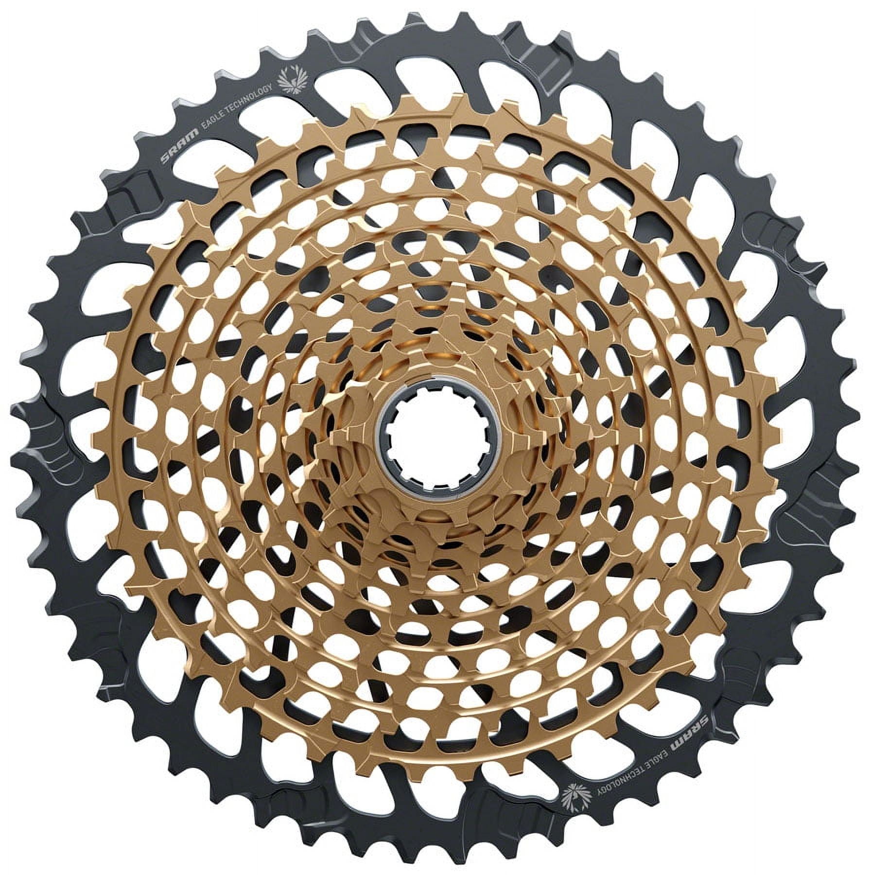 Amazon | スラム Cassette XG-1250 12段 10-36T | Sram