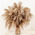 thumbnail image 1 of SREED 20 Pcs 23 Inch Tall Fluffy Pampas Grass XL Size Brown Dry Pompous Grass Decor Wedding Flower Boho Decor Natural Pompas Flower Bouquet, 1 of 8