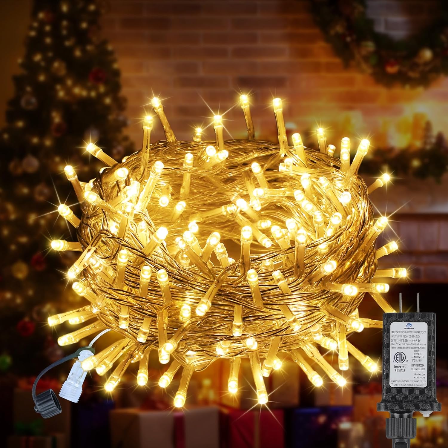 SRWEHG-33 FT 100LEDs Christmas Lights Plug in,Outdoor Indoor ...