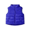 thumbnail image 1 of SRZYMJ Boys Lightweight Quilted Vest With Stand Collar Sleeveless Jacket For Kids And Toddlers Outerwear Blue 5-6Years, 1 of 9