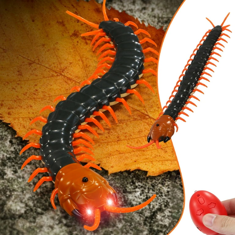 Remote centipede shop