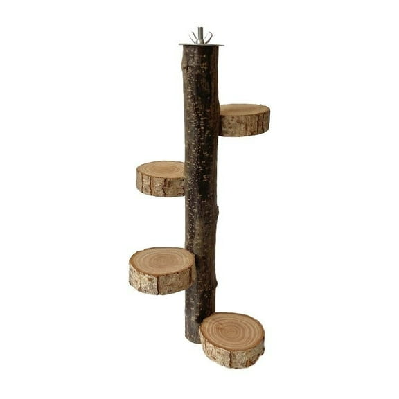 SS Organic Natural Wood Bird Perch Stand, Hanging Multi Round Branch Perch for Cage, Parrots, Parakeets Cockatiels, Conures, Macaws, Love Birds, Finches Bird Toys