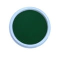 thumbnail image 1 of SSKFHGI Green Kindergarten Finger Palm Painting Pigment Color Ink Pad Ink Pad Large Palm Ink Pad Non-Toxic Washable, 1 of 7