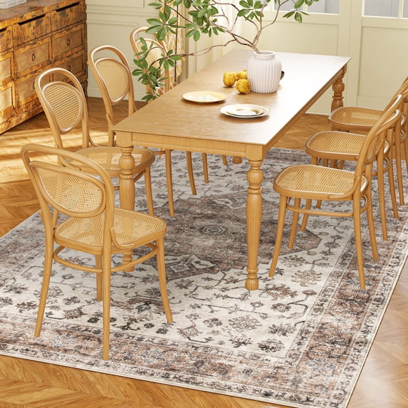 SSLZ 4x6 Area Rug, Vintage Machine Washable Rug, Non-Slip Floor Carpet ...