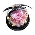 thumbnail image 1 of SSNTSY Preserved Roses in Glass Gifts, Eternal Rose, Real Rose with LED Light for Delivery Prime Valentines, Birthday, Mothers Day, 1 of 8