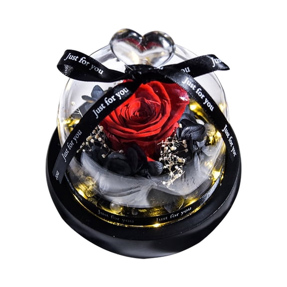 SSNTSY Preserved Roses in Glass Gifts, Eternal Rose, Real Rose with LED Light for Delivery Prime Valentines, Birthday, Mothers Day