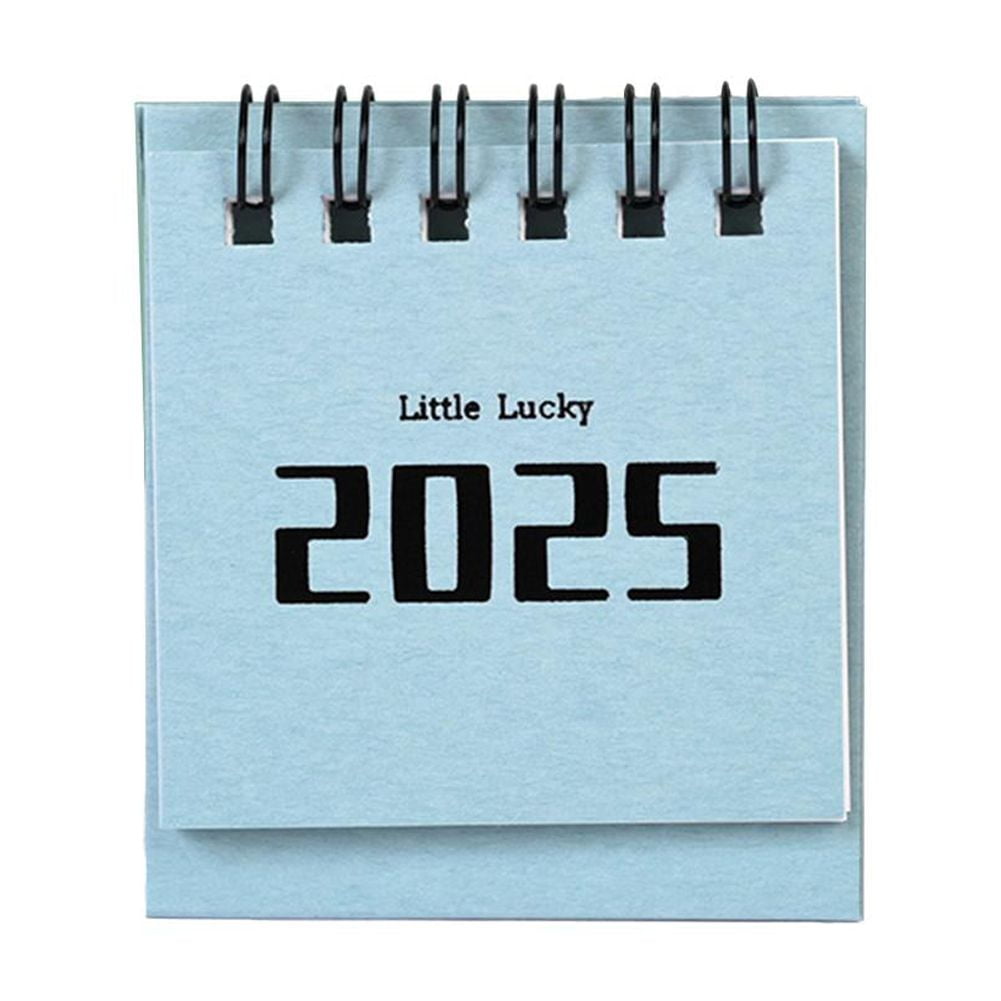 SSRoirvbb Creative Standing Flip Calendar 2025,2025 Desk Calendar