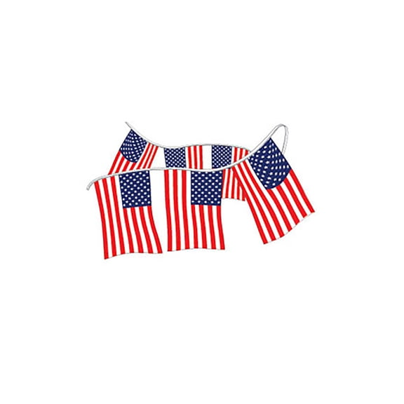 SSWBasics American Cloth Pennant Banner Flags 60 ft Long
