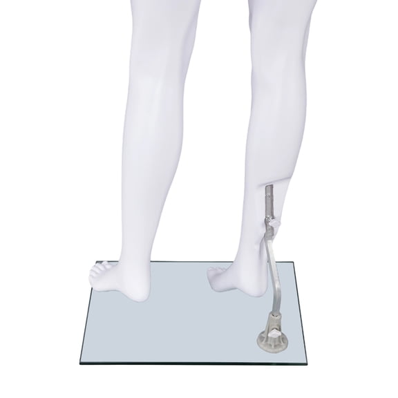 SSWBasics Female Headless White Plastic Mannequin with Straight Arms