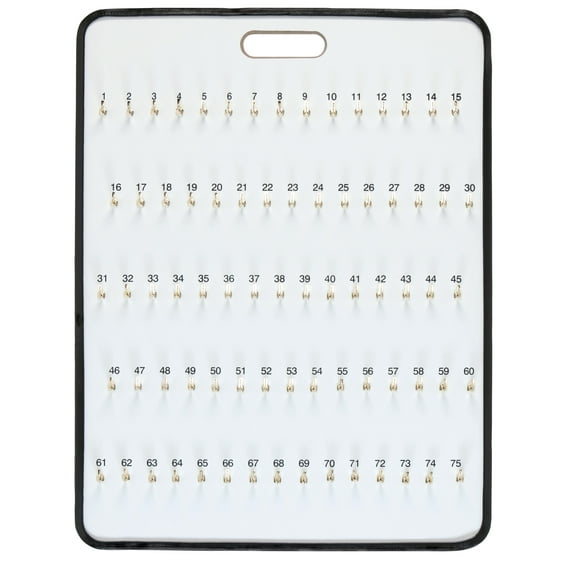 SSWBasics Key Board With Self-Closing Tabs - 75 Hooks - 24ʺW x 30 1/2ʺL - Key Rack Wall