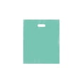 thumbnail image 1 of SSWBasics Large Aqua Blue Frosted Plastic Goodie Bags with Handles - 15” x 18” x 4” Plastic Merchandise Bags - Case of 250 Frosted Bags, 1 of 1