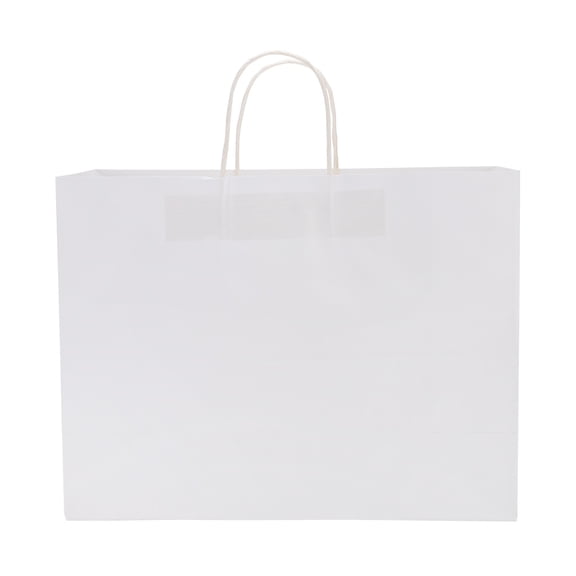 SSWBasics Large Paper Bags with Handles - Case of 100