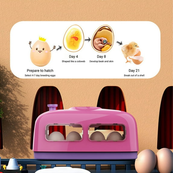 SSZMDLB under $5 Egg Incubator, Poultry Hatcher with Temperature Humidity Control, 8 Egg Capacity Incubate, Chickens Ducks Quail Birds Hatching Machine