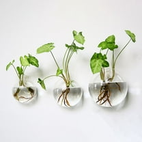 SSZMDLB under $5 Wall Hanging Vase, Semi-round Hydroponic Glass Planter, Transparent Wall Mounted Flower Pot, Home Decor Piece for Living Room, Bedroom, Office Wall, Indoor Garden